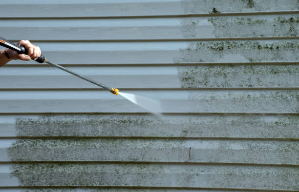 Professional  Pressure Washing Services in Theresa, WI